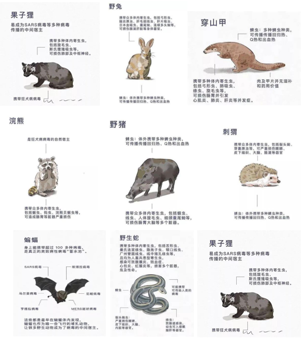 微信截图_20200227112436.png
